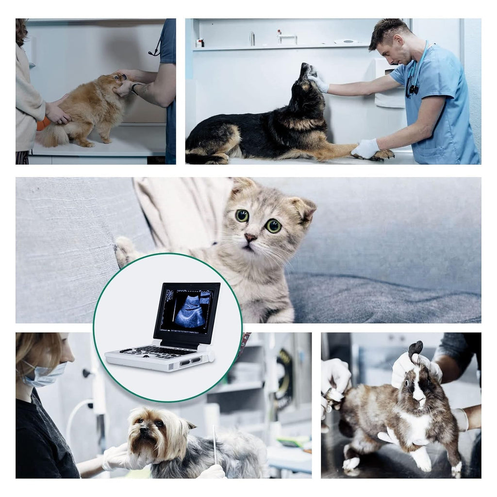 Veterinary Ultrasound Handheld Scanner with 3.5MHz Convex Probes Portable Ultrasound Machine for Pregnancy Animals