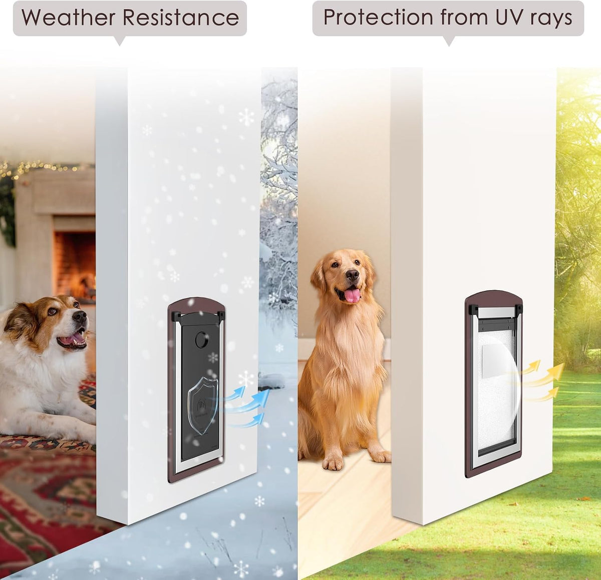 Cat Door for Wall,Steel Frame,Interior and Exterior Wall,Small