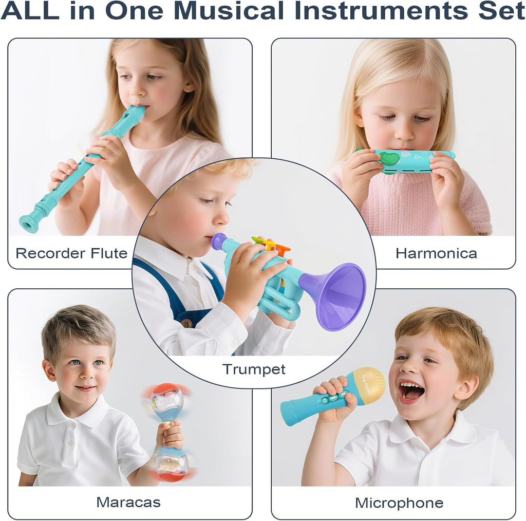 Musical Toys for 2 3 Year Old Boy Girl Birthday Gifts, 5 in 1 Montessori Musical Instruments for Toddlers 2-4 with