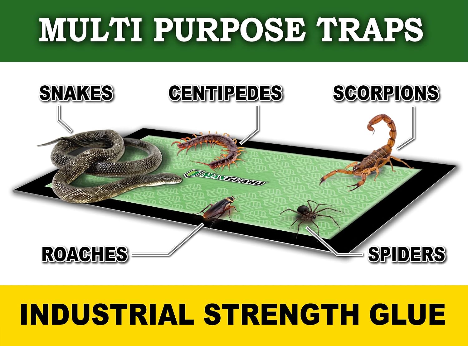 Extra Large Insect Traps (8 Traps) | Non-Toxic Extra Sticky Pre-Baited Glue Board, Trap & Kill Most Crawling Insects