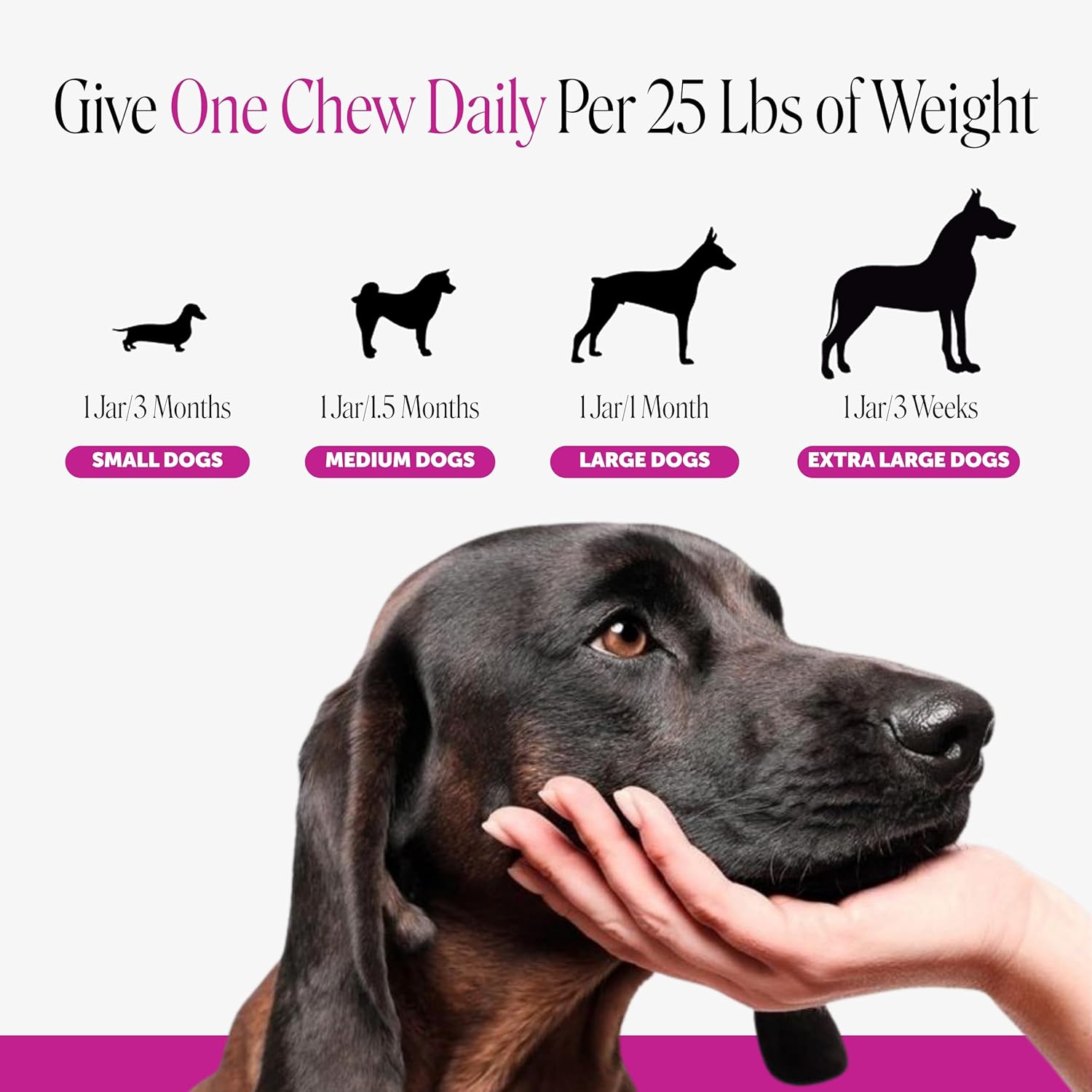 10-in-1 Dog Multivitamin Supplement with Glucosamine & Probiotics - Hip & Joint Support, Digestive Health, Immune