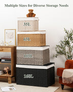 Storage Basket with Lid, 2-Lid PE Rattan Storage Bin, Natural