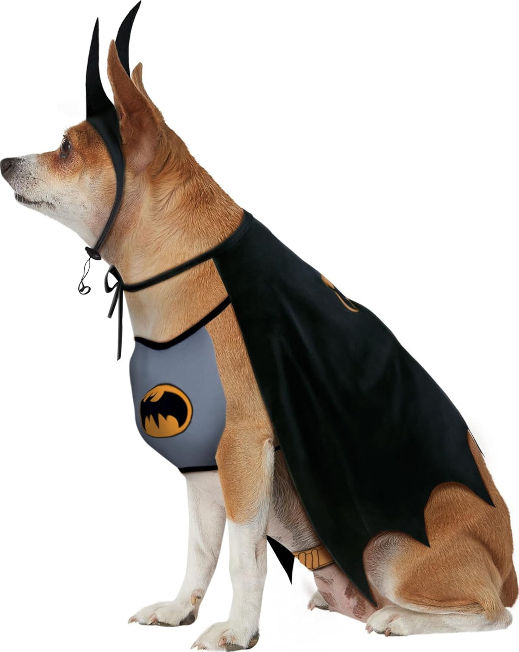 DC Comics Superheroes: Batman Pet Costume for Dogs or Cats, XL