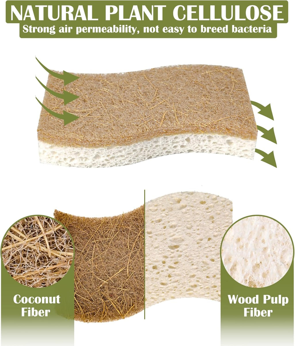14 Pack Coconut Sponge with Cellulose, White