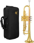 b flat beginner student trumpet with Rose brass leadpipe leadpipe | gold lacquer brass body stainless steel valves 7c