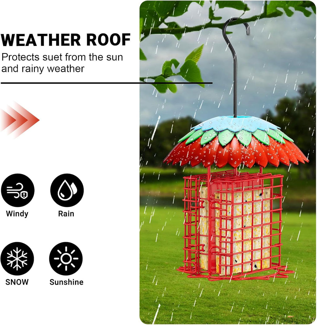 Suet Feeder Double with Weather Guard & Ant Moat, 2 Holders Red