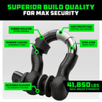 3/4" D Ring Shackles (2-Pack) - 41,850lb Break Strength