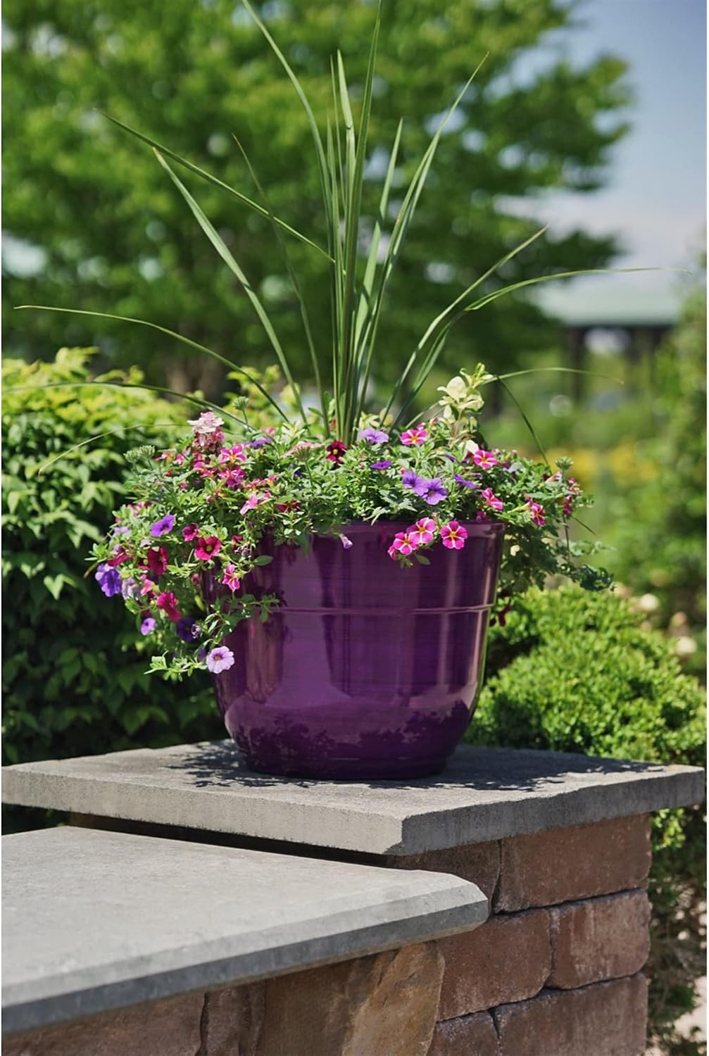 Indoor/Outdoor Glazed Brushed Happy Plastic Planter, Large, Dark Purple, 15" (Pack of 2)