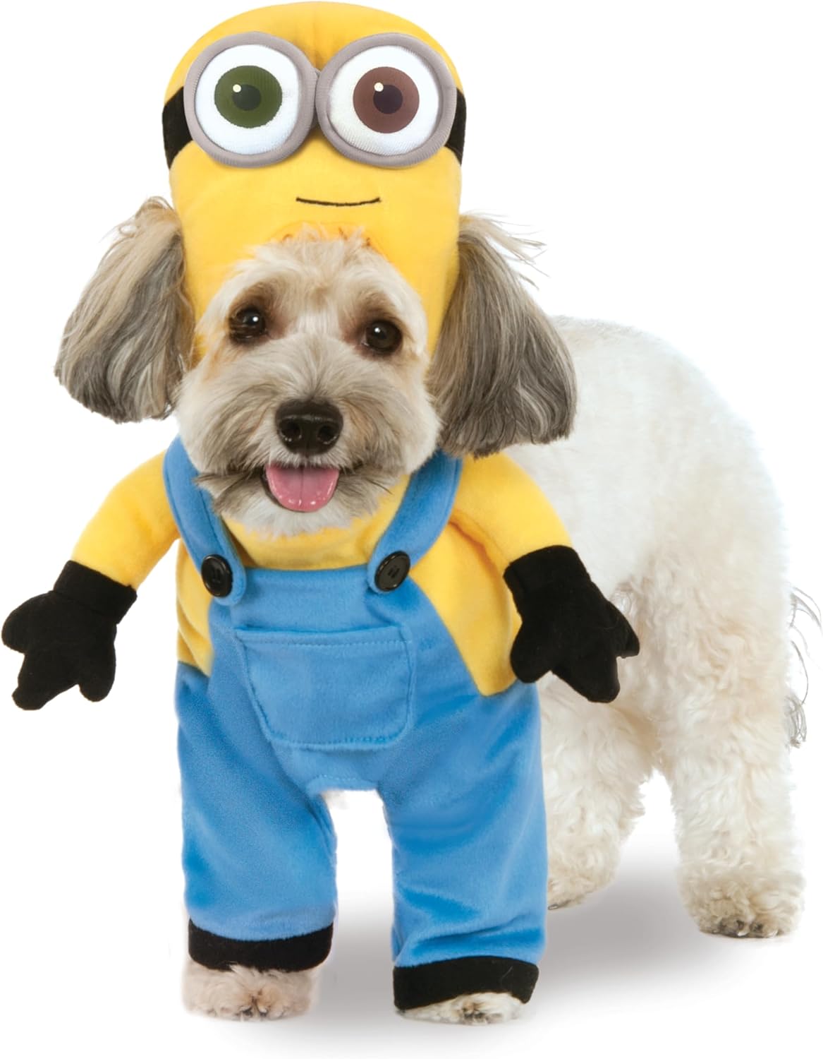 Despicable Me: Minion Bob Pet Costume for for Dogs or Cats by Rubies, XS