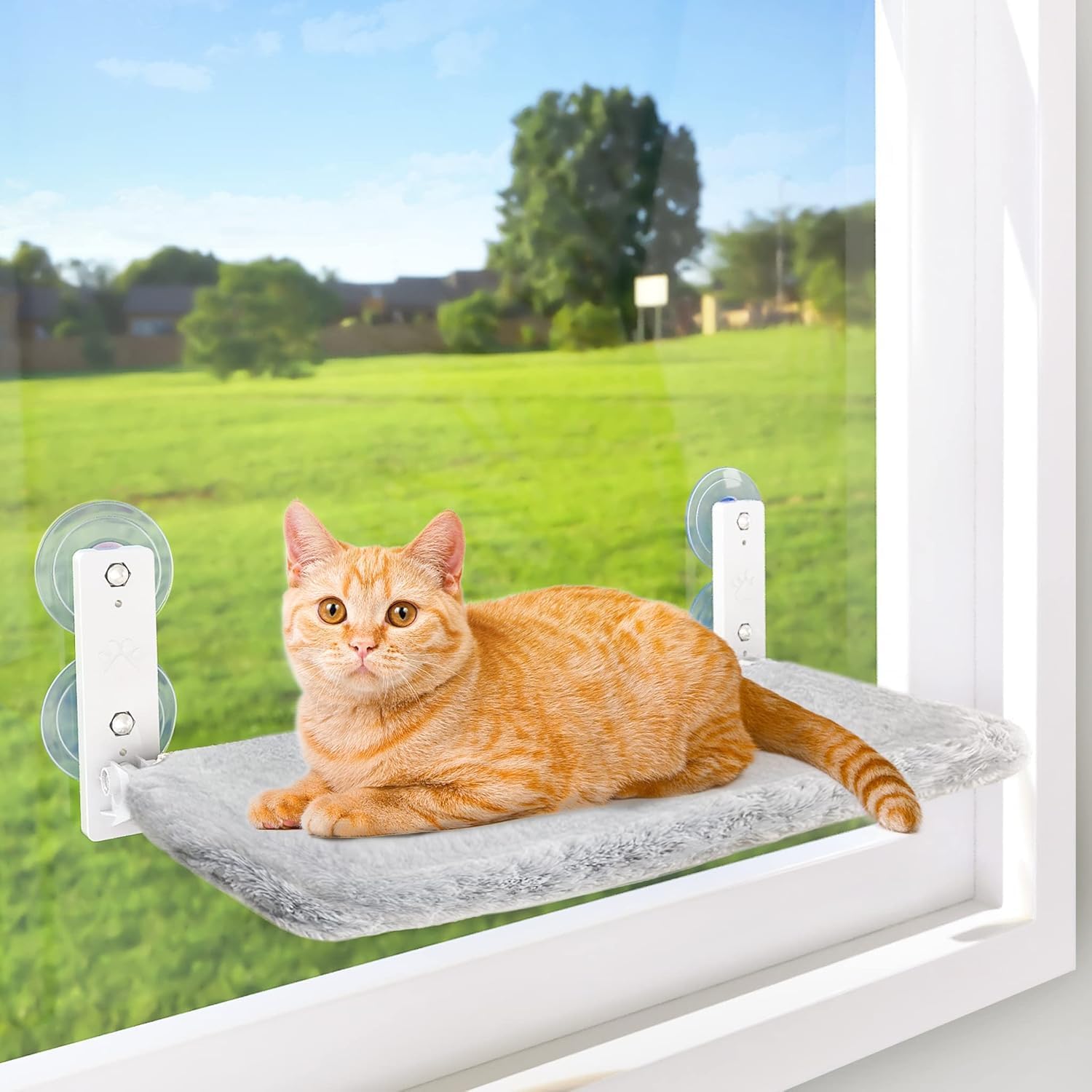 Cordless Cat Window Perch, Cat Hammock for Wall with 4 Suction Cups, Anchor&Screw for Two Ways of Installation, Solid
