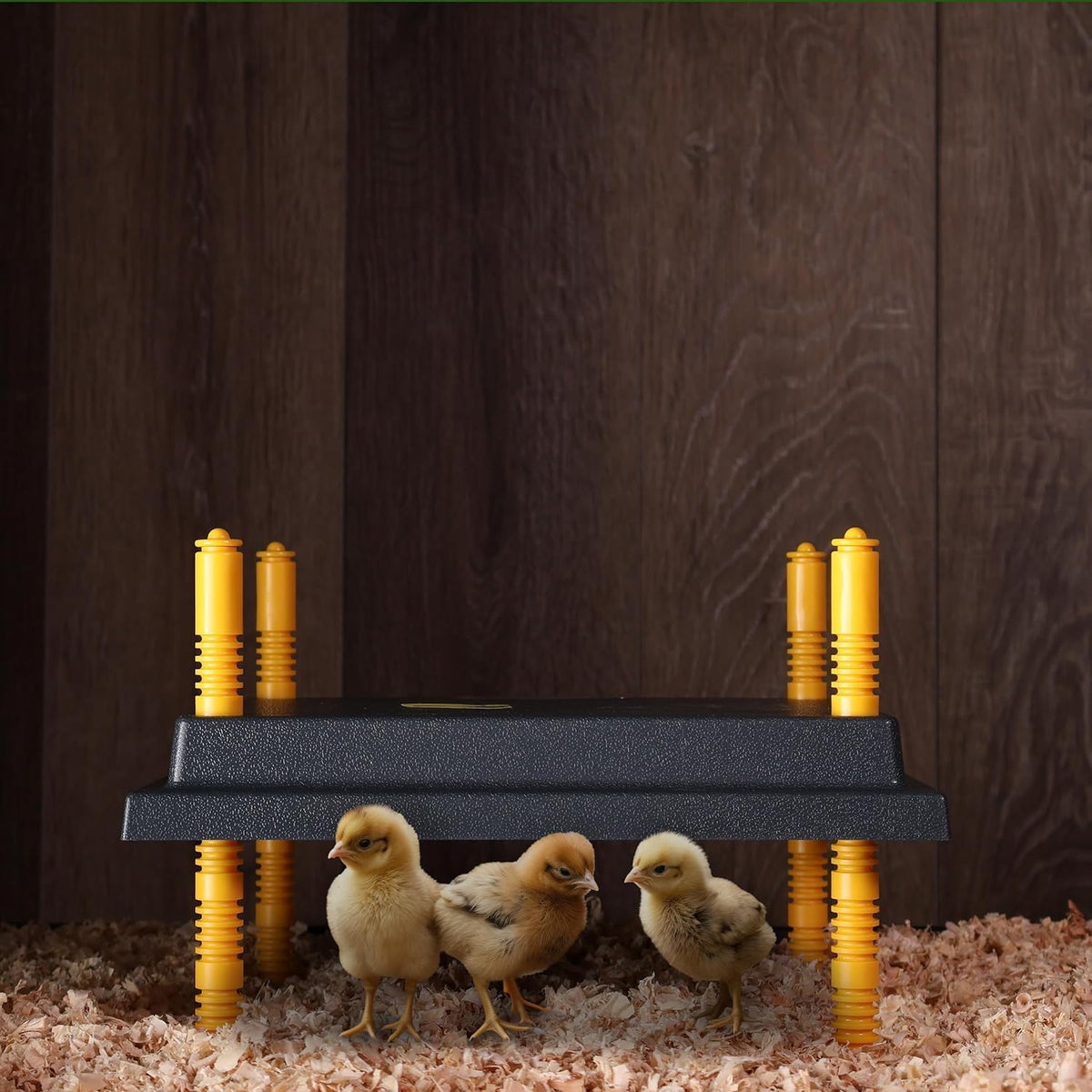 Premier 1 Chick Brooder Heating Plate – 12"x12", Warms Up to 20 Chicks