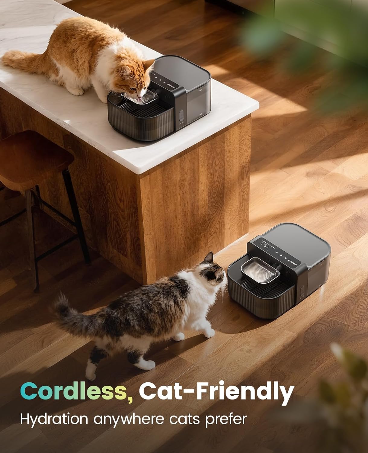 Wireless Filterless Cat Water Fountain, Separate Clean and Dirty Water Pet Fountain with Stainless Steel Bowl