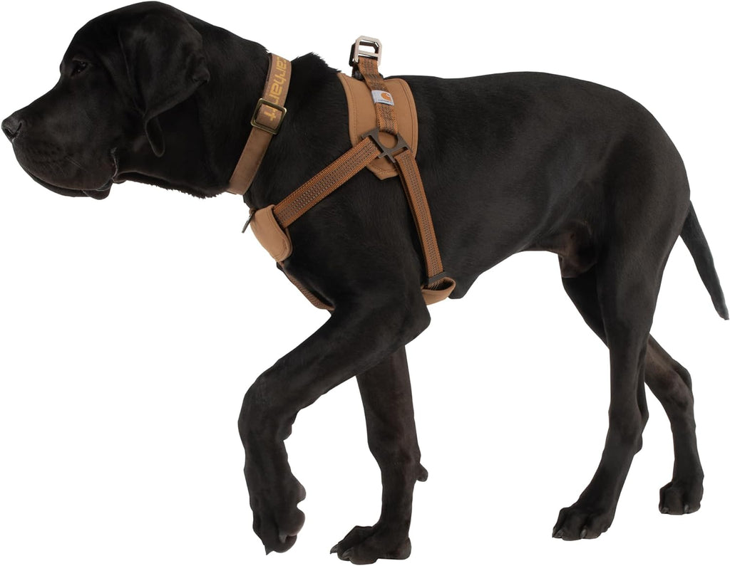 Nylon Duck Comfortable Training Dog Harness, Fully Adjustable No Choke Rugged On-Leash Training Harness with Dual