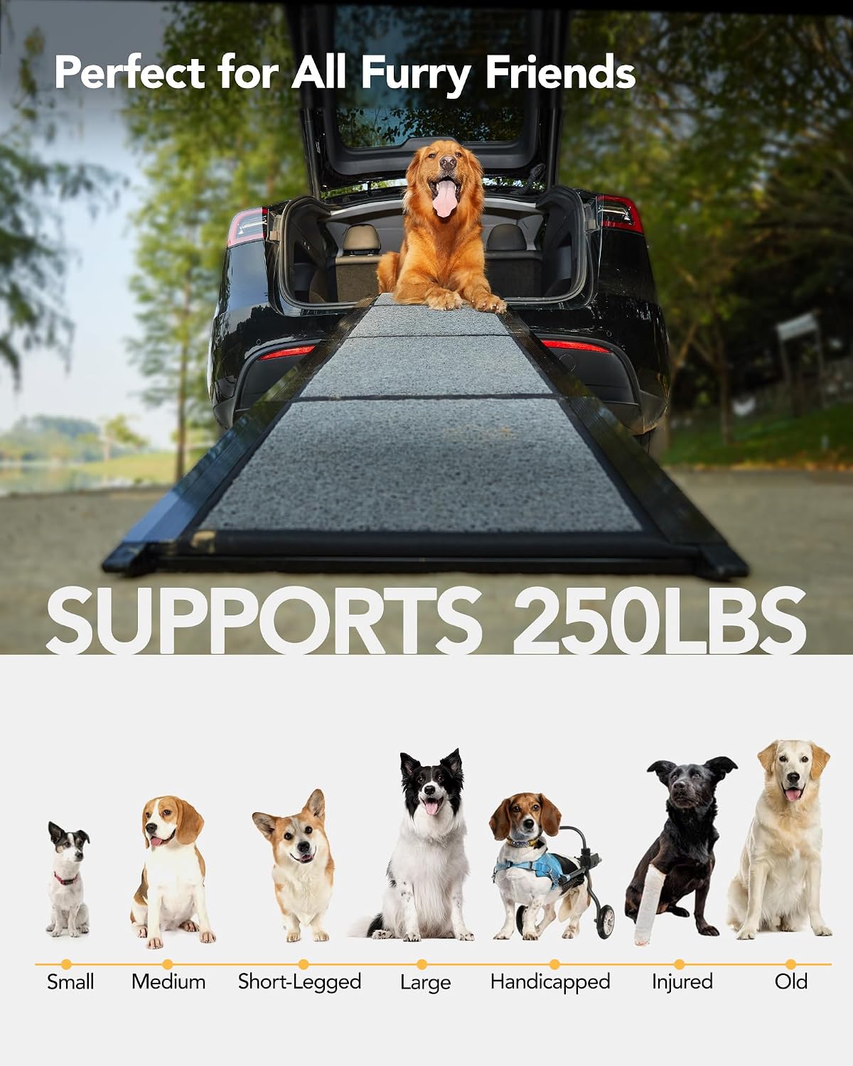 Dog Ramp for Cars, 63" L × 17" W, Lightweight Foldable
