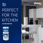 Professional Kitchen Paper Towel Rolls, 24 x 70 Sheets (13964)