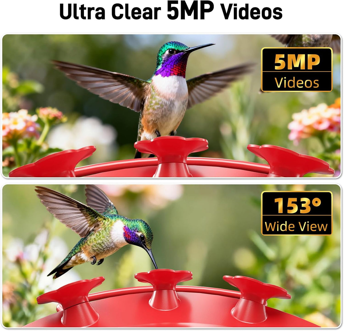 Hummingbird Feeder with Camera Outdoor, 5MP HD Smart Hummingbird Feeder Camera Solar Powered, AI Bird Identification