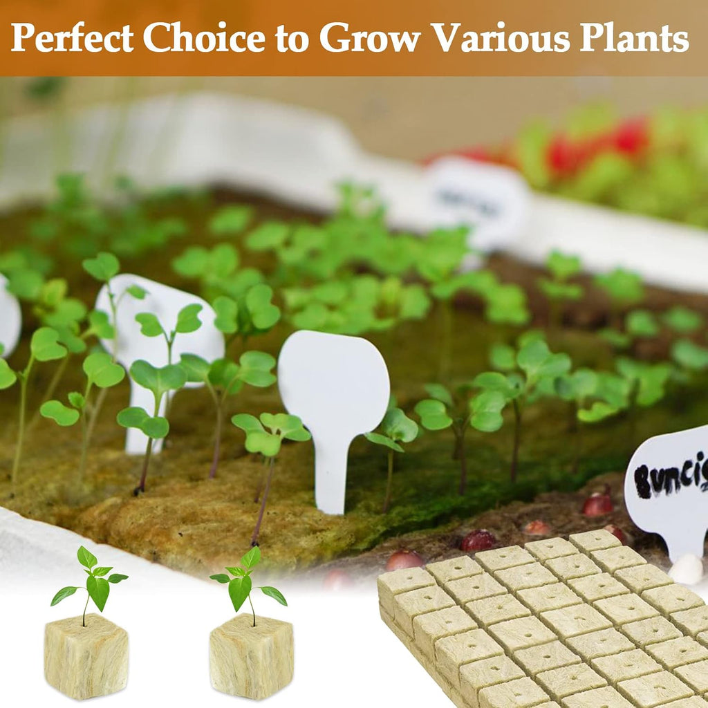 1 Inch Rockwool Cubes Seed Starter Plugs for Hydroponics, 200 Plugs | Promotes Germination Rate & Root Growth