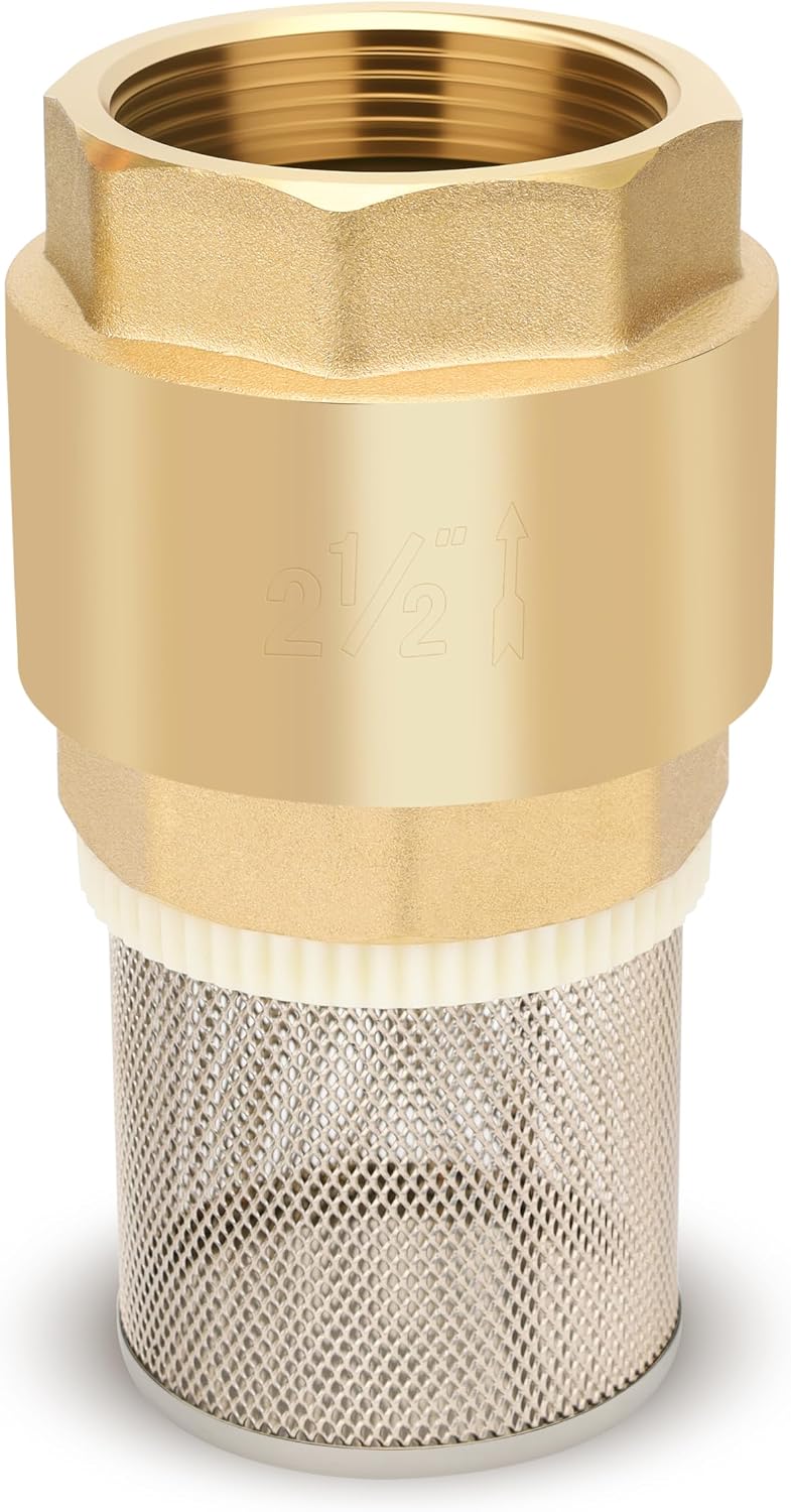 2-1/2" NPT Foot Valve with Filter, Brass, Heavy Duty, Female Thread, DN65