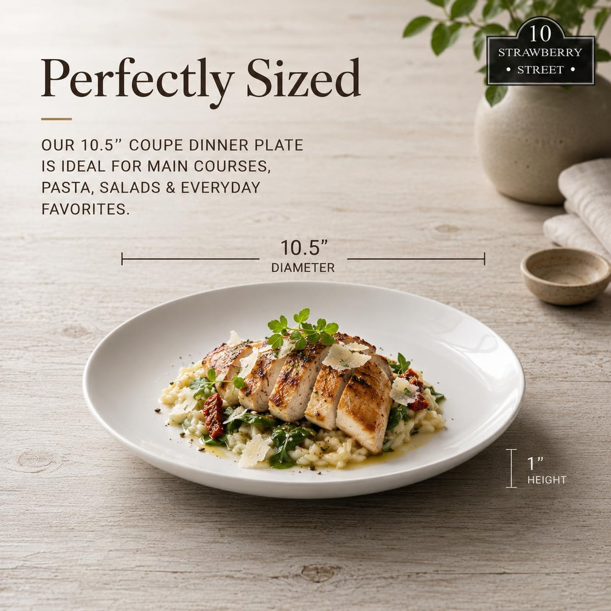10.5" Catering Coupe Dinner Plate, Set of 12,White