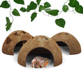 Reptile Hideouts Natural Coconut Shells Hut Hermit Crab Climbing Toys Gecko Hide Cave Lizard Habitat Decor Plant
