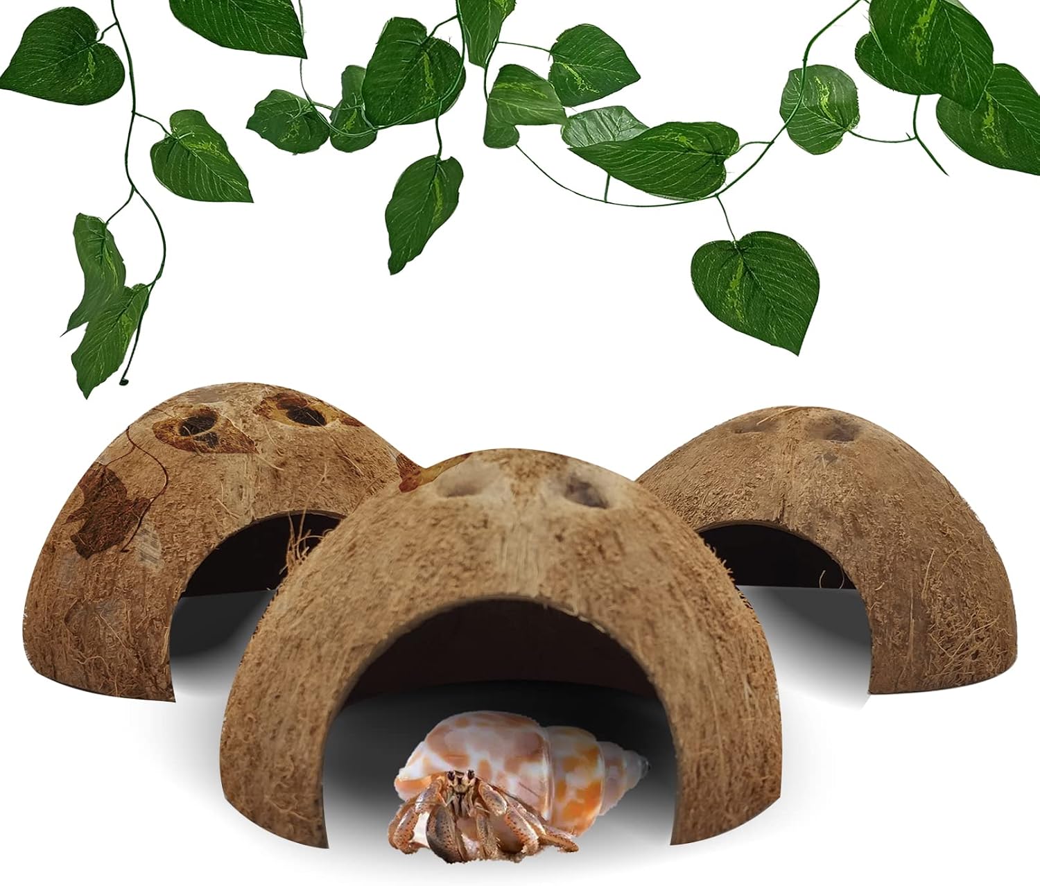 Reptile Hideouts Natural Coconut Shells Hut Hermit Crab Climbing Toys Gecko Hide Cave Lizard Habitat Decor Plant