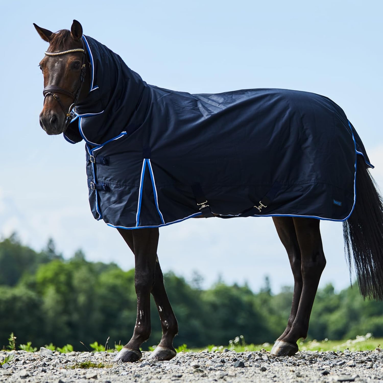 Glasgow Waterproof Combo Turnout Horse Blankets for Real Horses