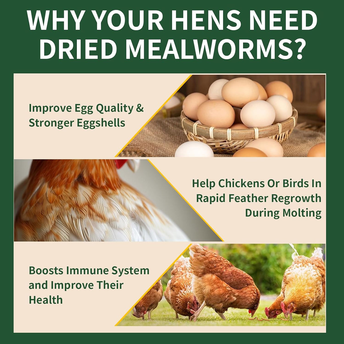 10LB Dried Mealworms for Wild Birds and Chicken