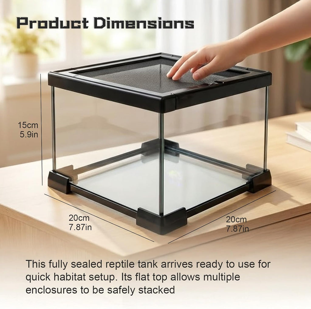 Small Glass Reptile Enclosure: 8x8x6 Full View Tarantula Enclosure | Lockable Sliding Screen Top Glass Terrarium