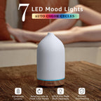 200ML Ceramic Essential Oil Diffuser for Home, Stone Diffuser