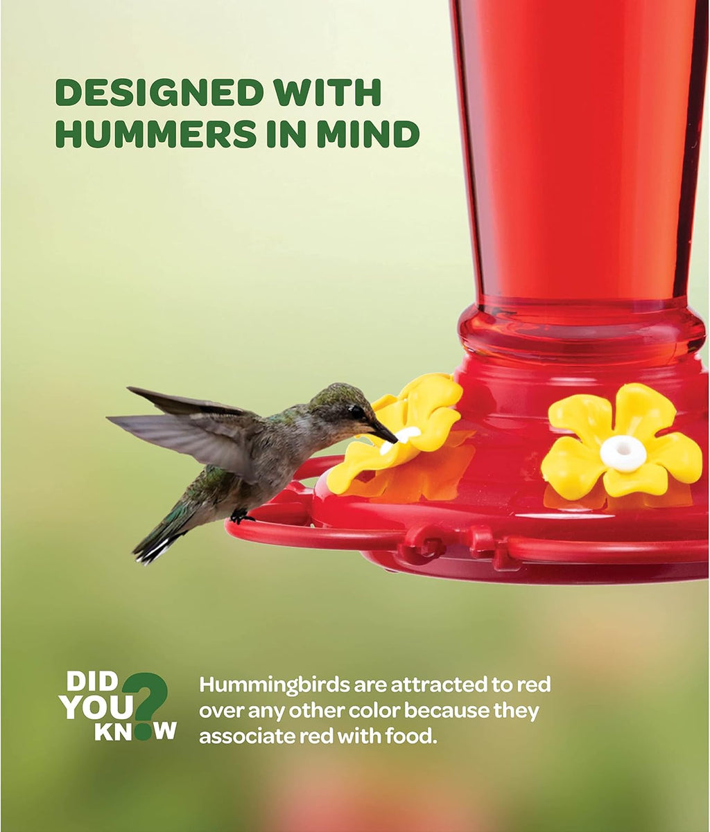 Hummingbird Feeders for Outdoors - 10 oz [Set of 2] Built-in Ant Moat