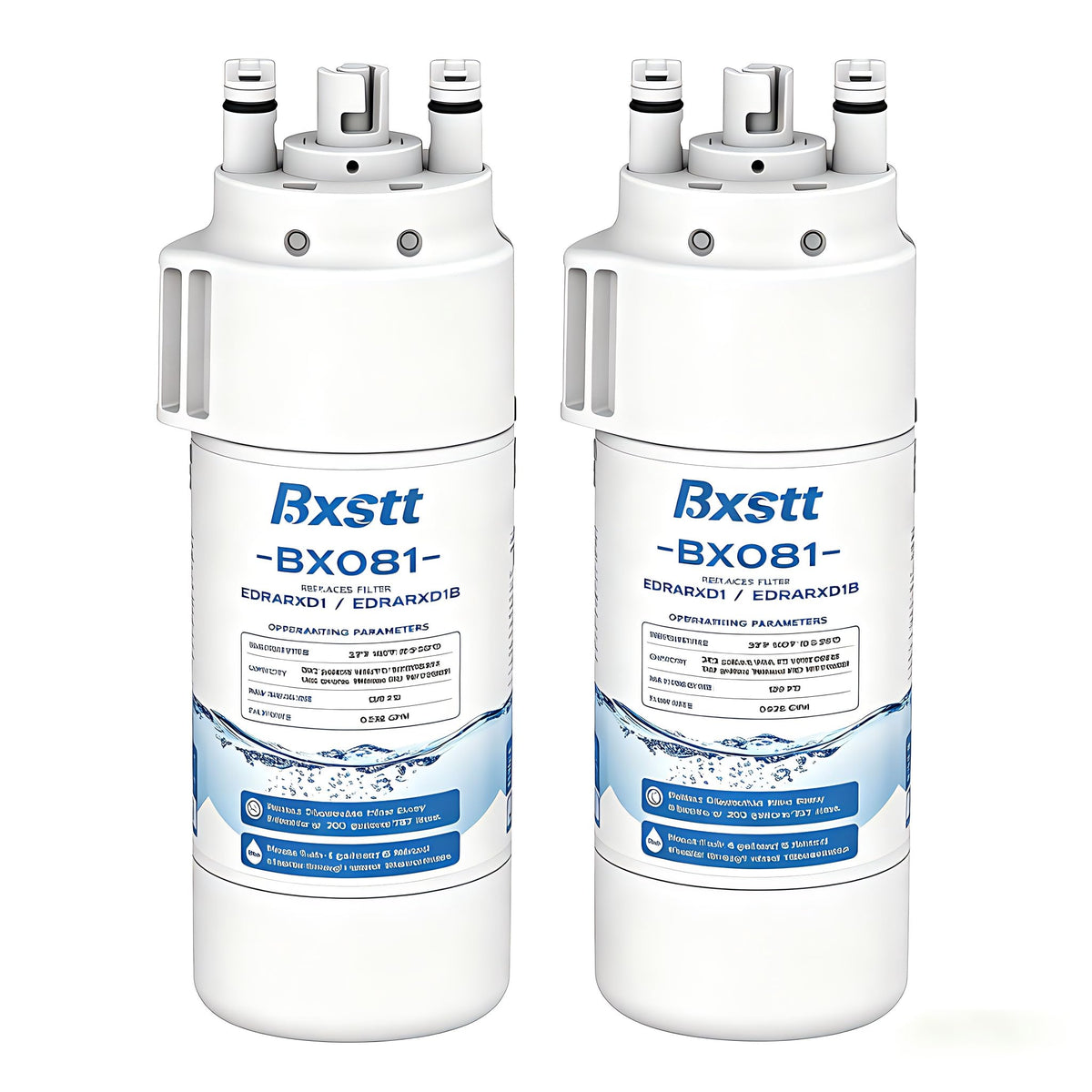EDRARXD1 Water Filter Replacement for Everydrop A 2 Packs
