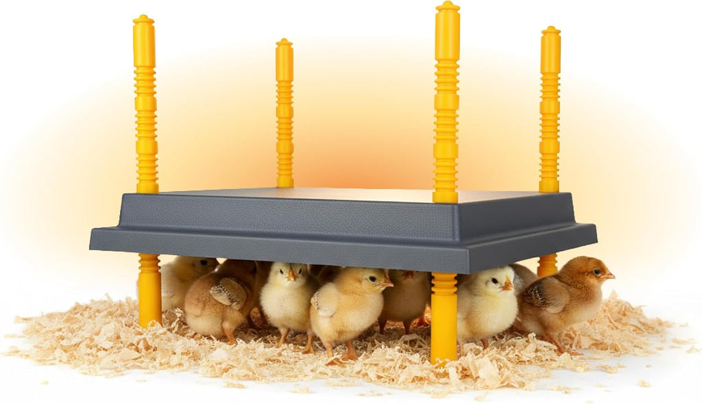 Warmzy Chick Brooder Plate 10 x 10-inch 15W for 15-20 Chicks
