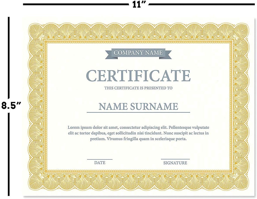 Elite Gold & White Parchment Certificate Papers - Pack of 100, Laser & Inkjet Printer Compatible, For Office