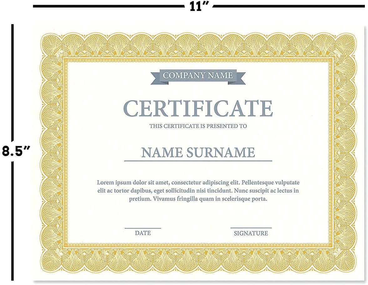 Elite Gold & White Parchment Certificate Papers - Pack of 100, Laser & Inkjet Printer Compatible, For Office