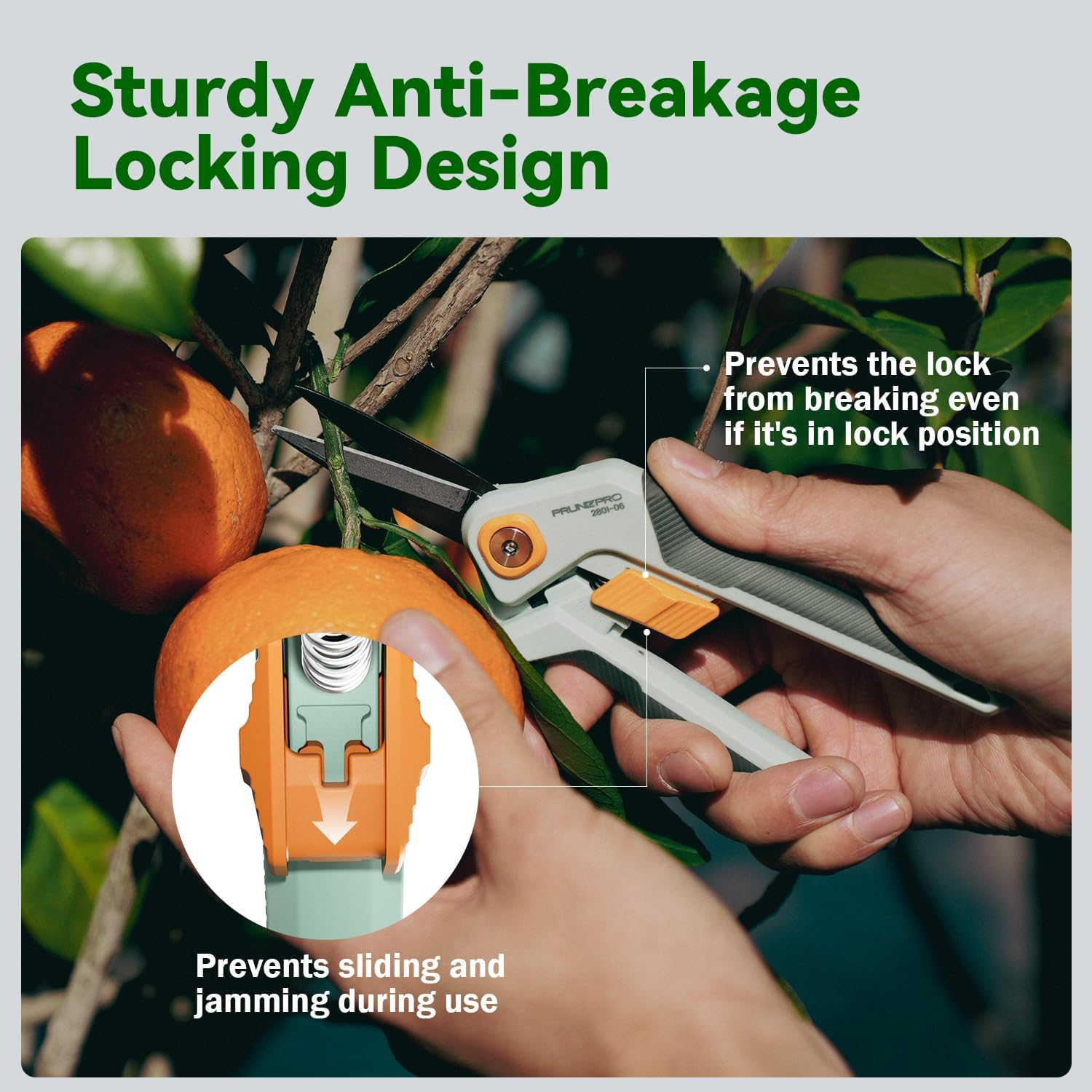 Pruning Shears Gardening Scissors Set Professional Hand Pruner Sharp Stainless Steel Blade Garden Scissors Plant