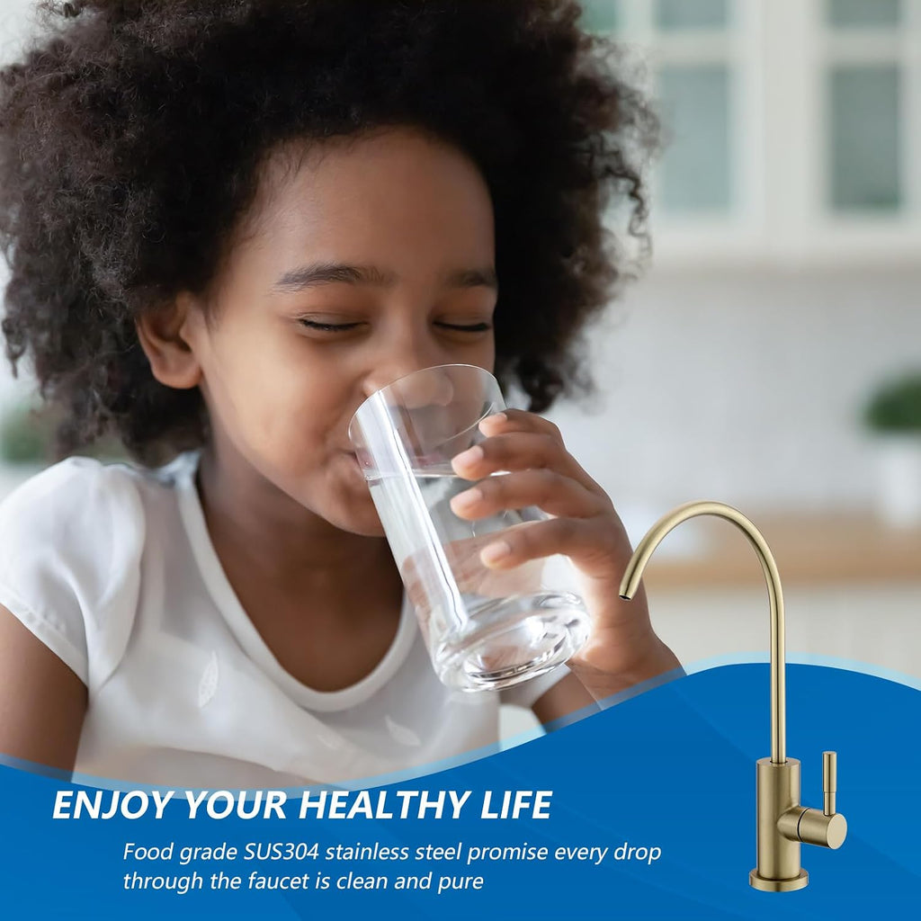 Drinking Water Faucet for RO System, Non-Air Gap, Brushed Gold