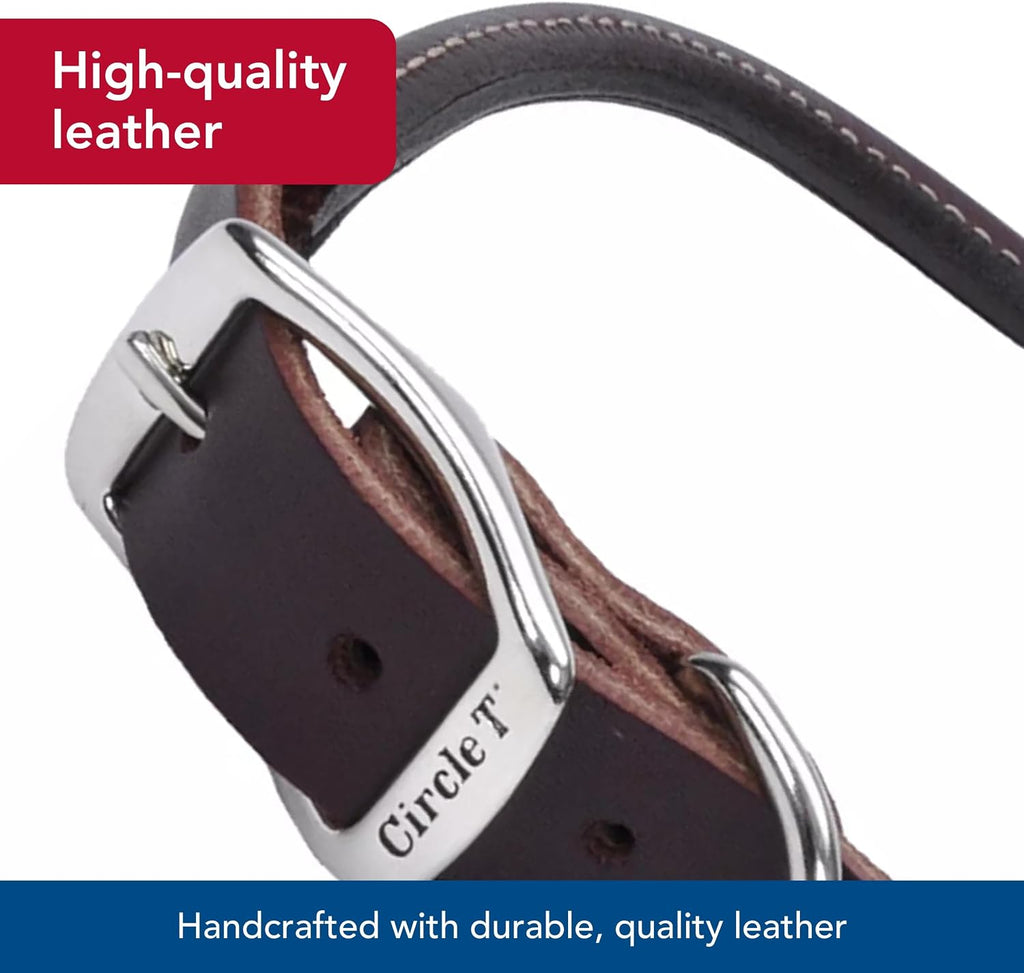 Pet Leather Dog Collar, Coastal Pet Circle T Latigo, 3/8" x 18"