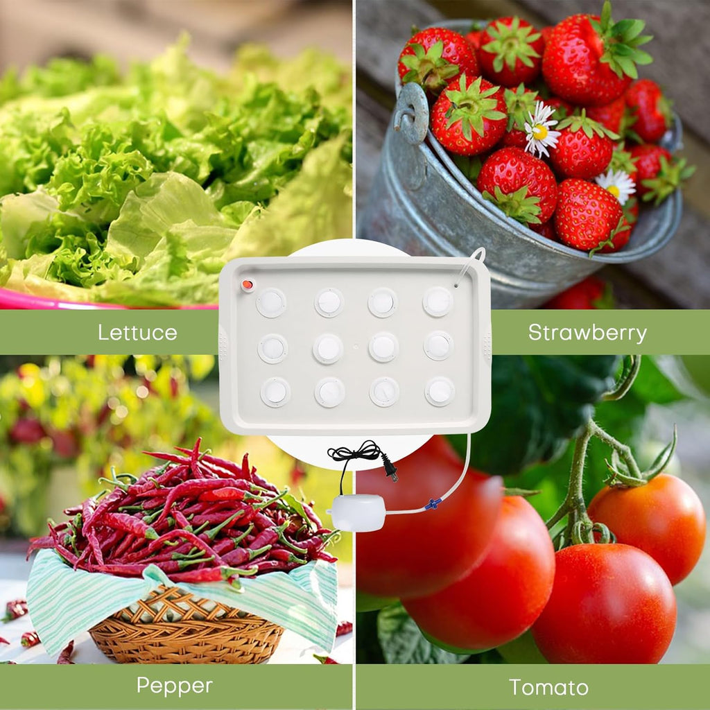 Hydroponic System Growing Kit with Air Pump 12 Holes Soilless | Cultivation Grow Box Garden Cabinet Box for Herbs