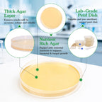 Nutrient Agar Petri Dishes Science Project Kit | Pre-Poured Agar Plates and Cotton Swabs for Science Experiments |