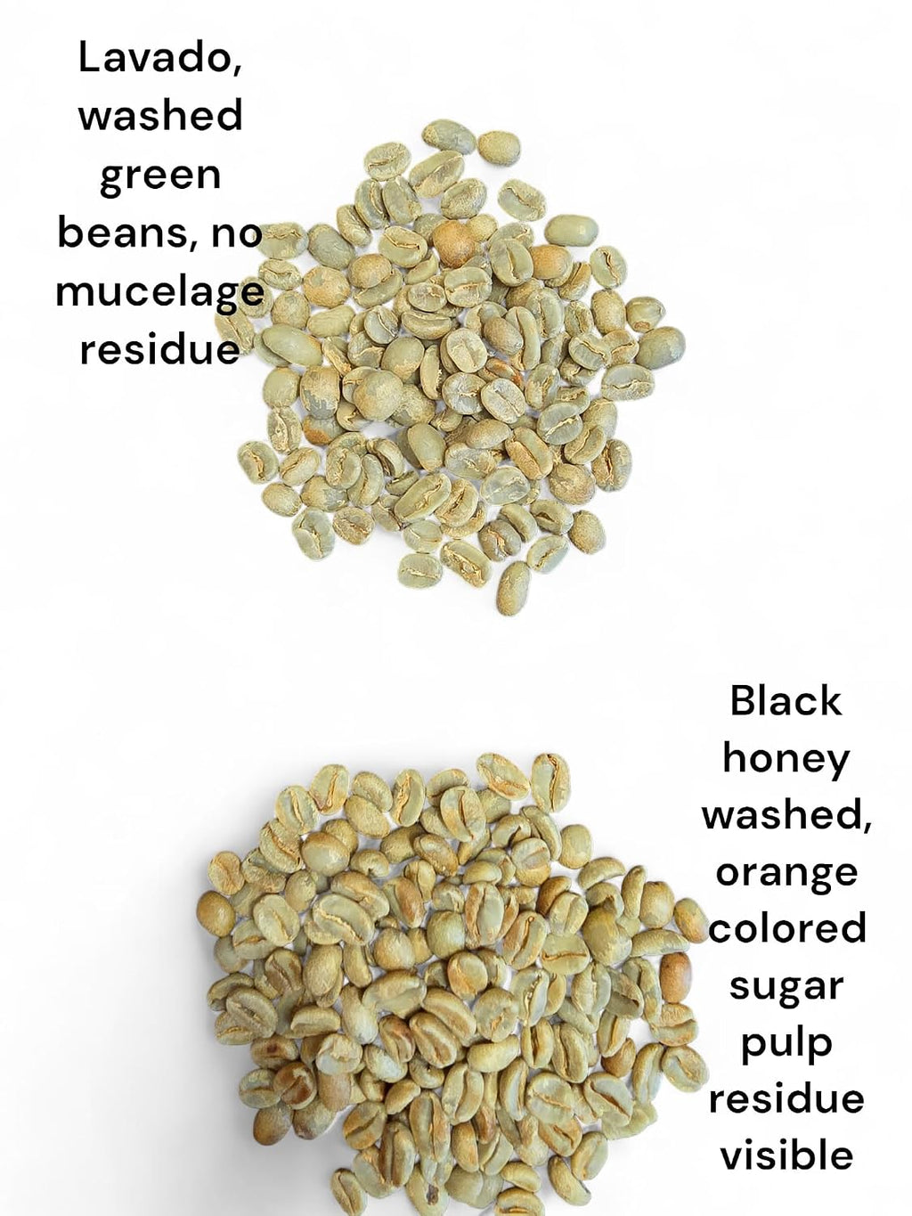 Green Unroasted Coffee Beans Ahuachapan, El Salvador Single Estate High Elevation (Honey washed, 5 lb)