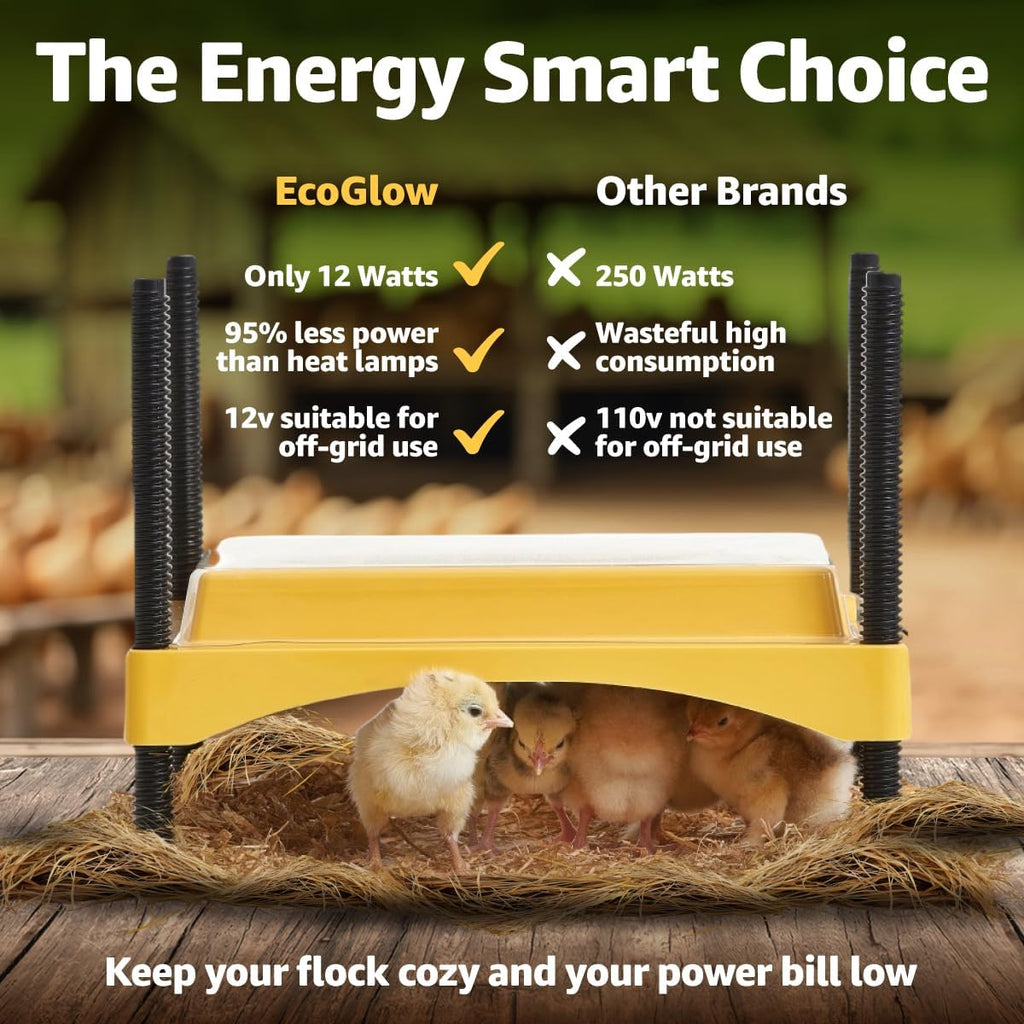 Ecoglow Safety 600 Chick or Duckling Brooder, Up to 20 Chicks