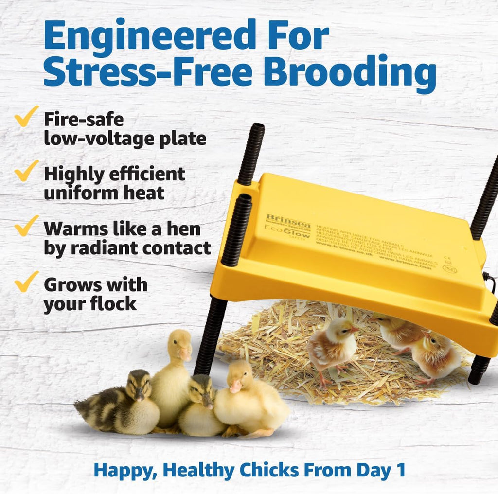 Ecoglow Safety 600 Chick or Duckling Brooder, Up to 20 Chicks