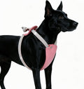 No Pull Dog Harness Step in Easy Walk Rhinestone Crystal Bling Vest Adjustable Soft Padded for Small Medium Dogs