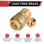 6Pcs EFIELD 3/4 Inch x 3/4 Male Adapter Push Fitting(PF125-6)