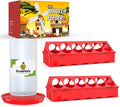 Chick Feeder and Waterer Kit, Chick Feeder Trough and 0.3 Gallon Chick Waterer, No Waste Baby Chick Starter Kit for