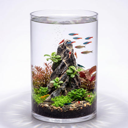 3.2 Gallon Cylindrical Glass Fish Tank, 360° Aquarium for Betta