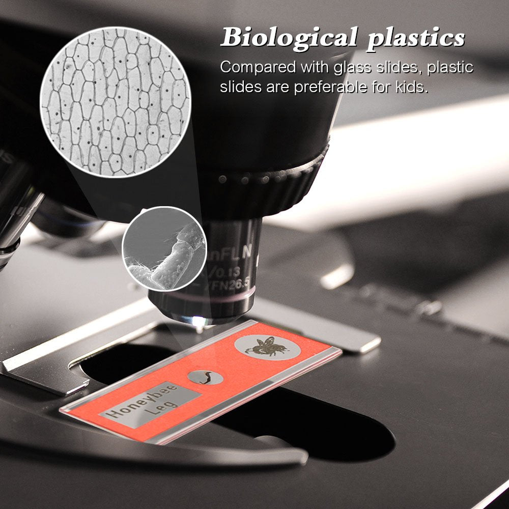 Prepared Microscope Slides, 48pcs Plastic Animals Insects Plants Flowers Sample Specimens