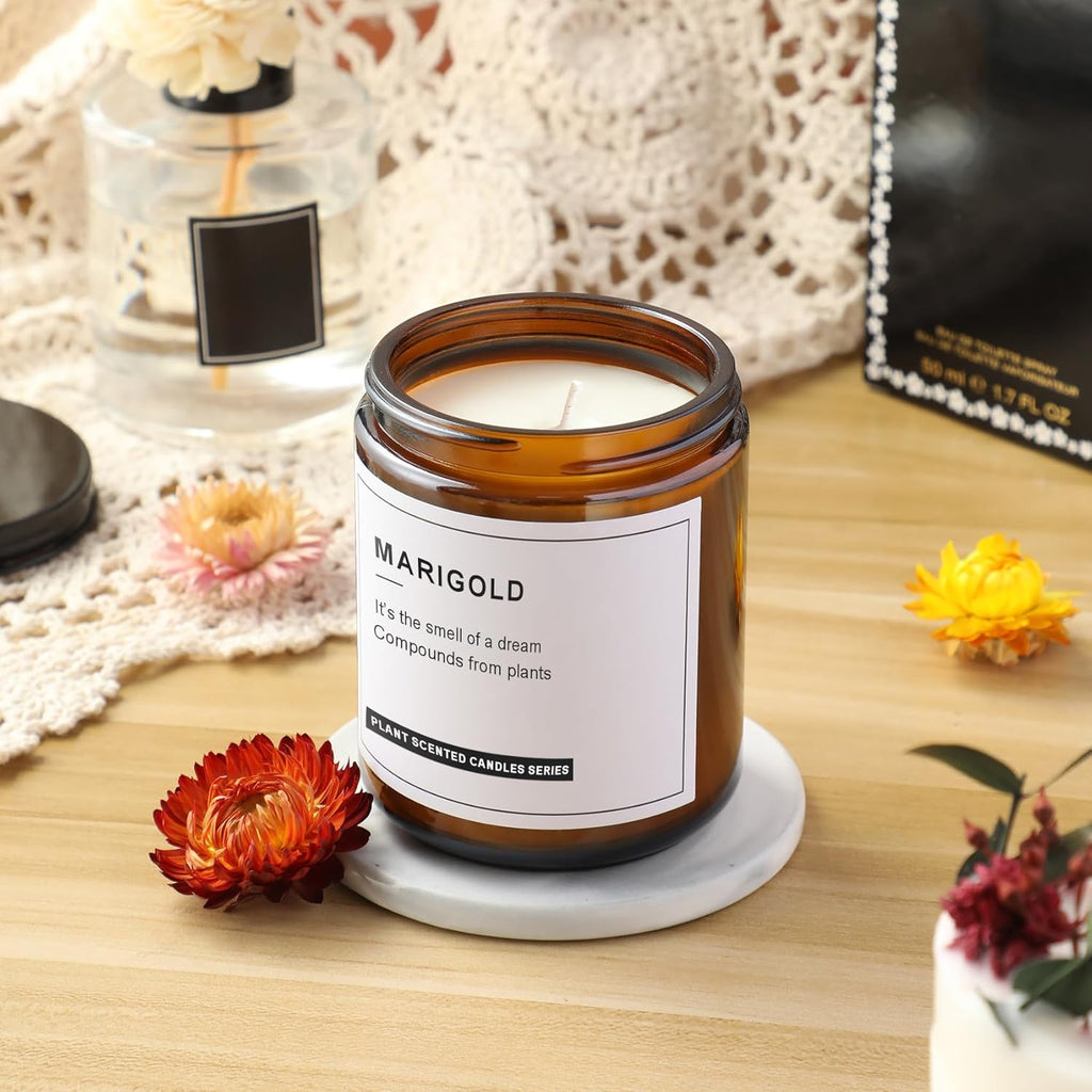 24 Pack, 8 OZ Thick Amber Candle Jars for Making Candle - Round Glass Jars with Lids - Empty Food Storage Containers