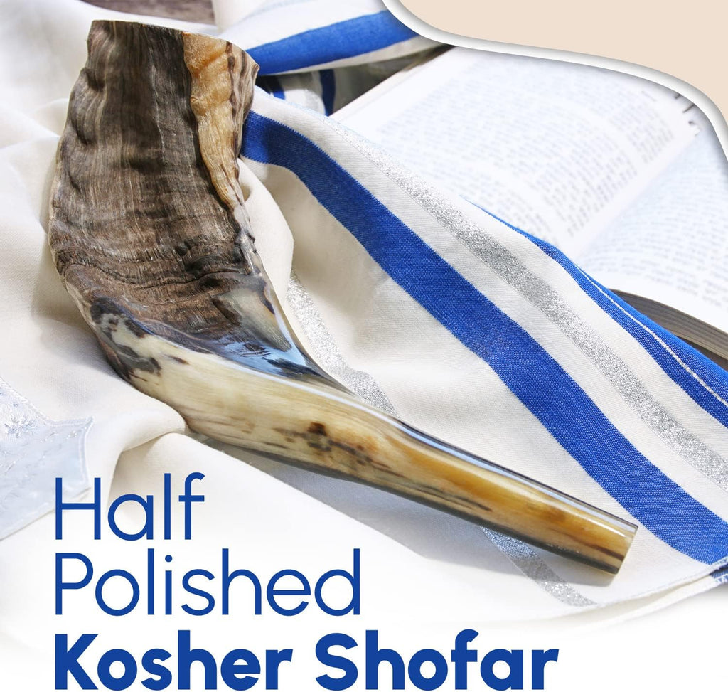 Authentic Ram Shofar Horn From Israel, Half Polished, 10''-12''