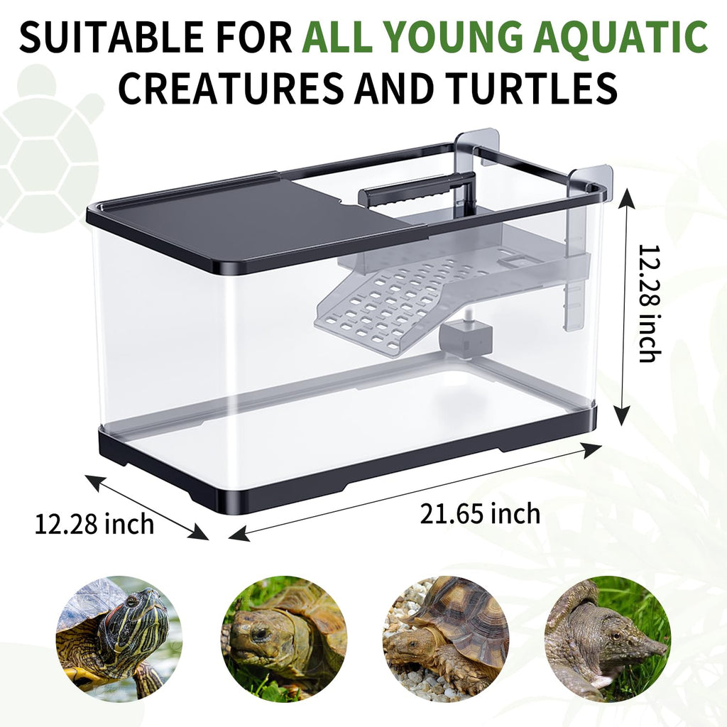(Tank + Light +Pump + Filter + Filter Balls) Turtle Tank Kit, Turtle Tank Starter Kit,Bottom Drainage, Multi-Function